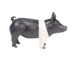 Little Buster Toys Hampshire Show Pig