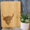 Highland Cutting Board -Western Cowboy Equipment 20230126 105610