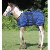 Weaver Leather Weaver Blue Foal Blanket