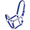 Royal Blue Adjustable Nylon Halter With Crystal Accents -Western Cowboy Equipment 50 3032 4