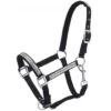 Adjustable Nylon Miniature Halter With Crystal Accents - Black 2 Adjustable Nylon Miniature Halter With Crystal Accents - Black -Western Cowboy Equipment 50 3032m 2