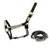 Shiloh Silver Show Halter With Lead -Western Cowboy Equipment 5782