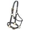 Weaver Leather Chin And Throat Snap Average Halter -Western Cowboy Equipment 61277 xxx 0122363 l