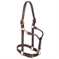 Weaver Leather 1" Track Halter - Mahogany