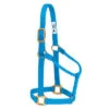 Weaver Leather Weaver Non Adjustable Hurricane Blue Nylon Halter -Western Cowboy Equipment 7005 HB