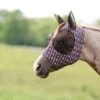 Professional's Choice Starburst Pony Comfort Fly Mask -Western Cowboy Equipment CFM SB 39a70f69 7ec9 4905 b810 b2125ce4aa3e