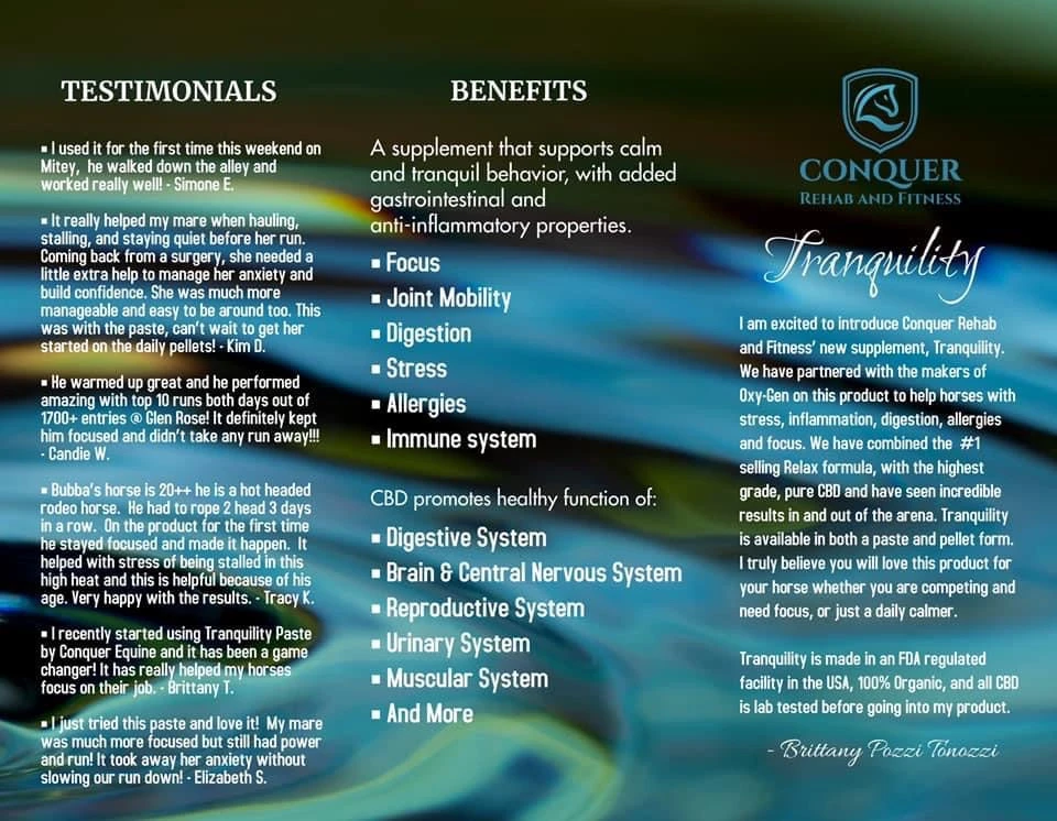 Conquer Equine Tranquility Paste 4 Conquer Equine Tranquility Paste - Image 2