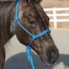Professional's Choice Turquoise Ranch Hand Rope Halter 1 Professional's Choice Turquoise Ranch Hand Rope Halter -Western Cowboy Equipment HRR TUR onhorse