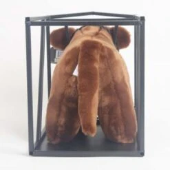 Little Buster Medium Clipping Chute -Western Cowboy Equipment Halter5 540x358 38404275 fc45 409b b3f9 5ed0ce28633d