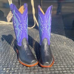Fenoglio Black & Purple Smooth Ostrich Boots -Western Cowboy Equipment IMG 5365
