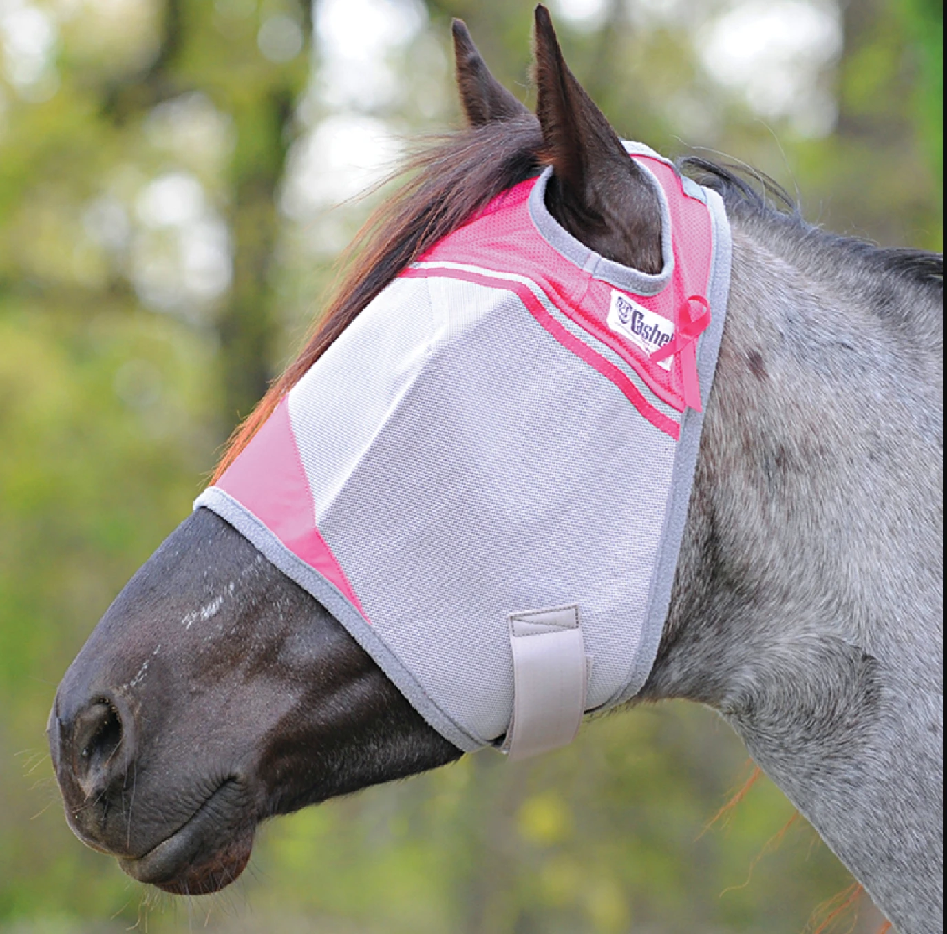 Cashel Pink Standard Fly Mask- Supports Breast Cancer Research 3 Cashel Pink Standard Fly Mask- Supports Breast Cancer Research