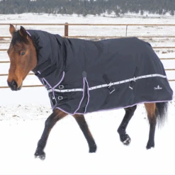 Classic Equine 10K Hooded Winter Horse Blanket- Black