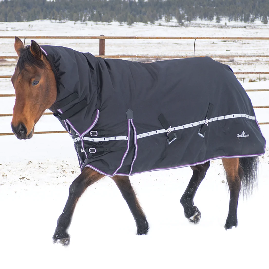 Classic Equine 10K Hooded Winter Horse Blanket- Black 3 Classic Equine 10K Hooded Winter Horse Blanket- Black