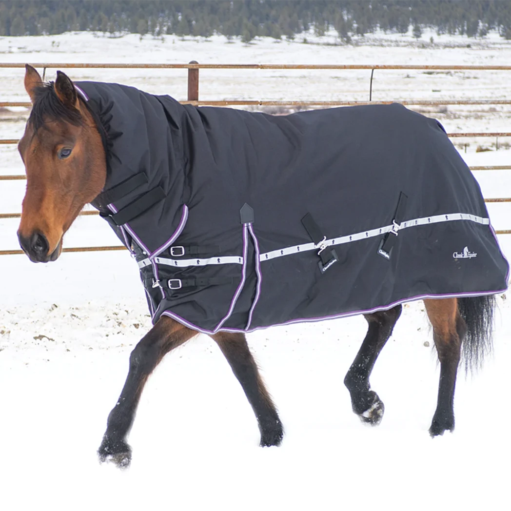Classic Equine 10K Cross Trainer Hooded Winter Horse Blanket - Turquoise 4 Classic Equine 10K Cross Trainer Hooded Winter Horse Blanket - Turquoise - Image 2