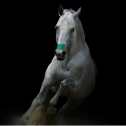 Flair Strip Turquoise 6 Pack -Western Cowboy Equipment Turqouise Flair Strips3