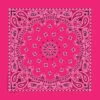 Hot Pink Paisley Bandanna 1 Hot Pink Paisley Bandanna -Western Cowboy Equipment b22pai 000039