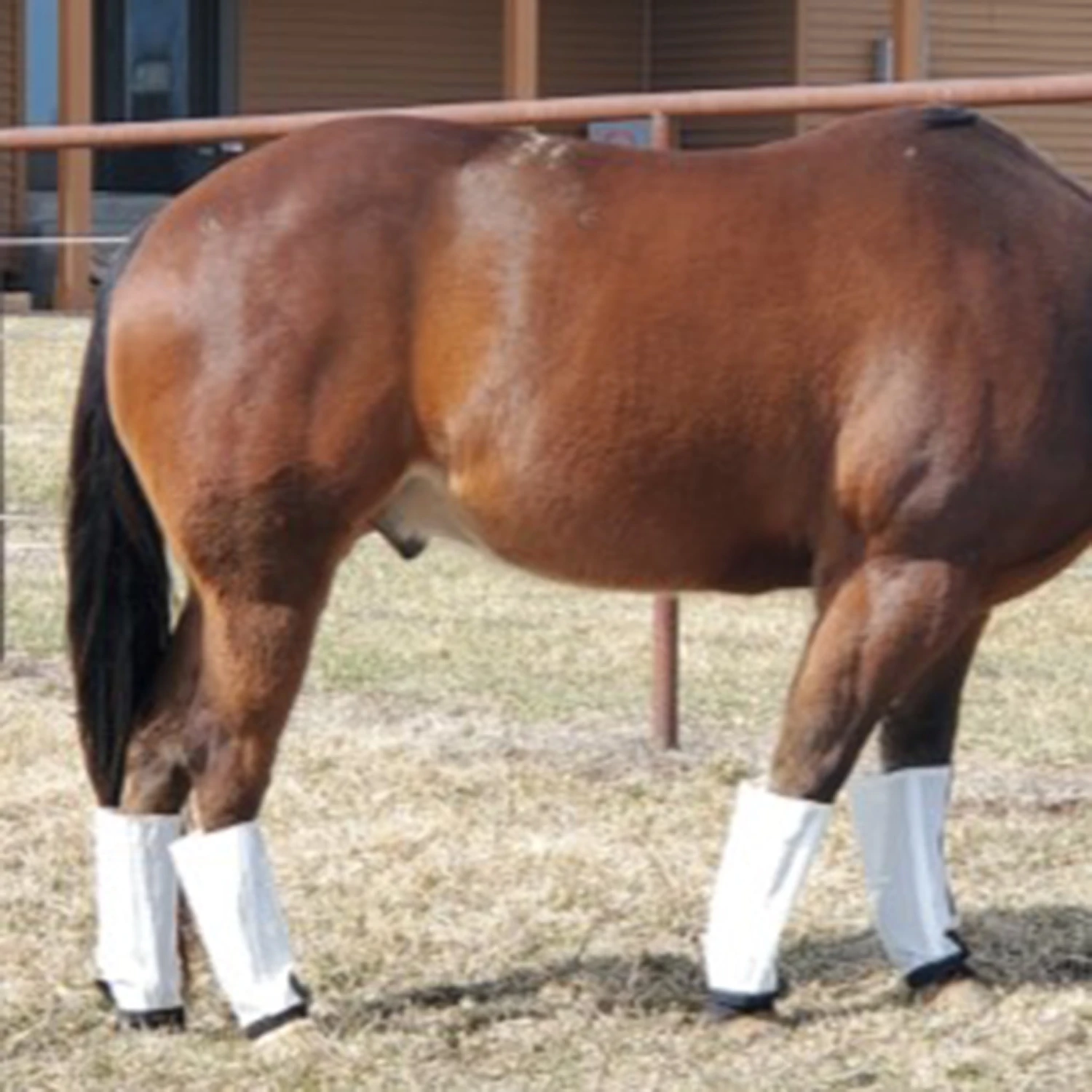 Fly Free Insect Protection Boots - White 4 Fly Free Insect Protection Boots - White - Image 2