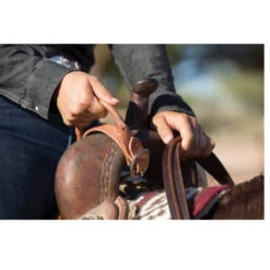 Professional's Choice Night Latch -Western Cowboy Equipment nightlatch